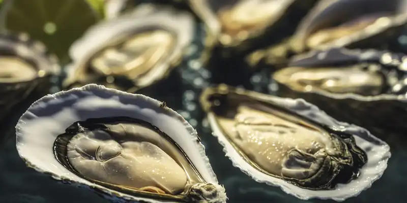 Abalone