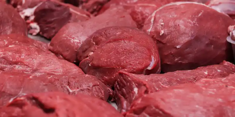 Controfiletto di bisonte crudo