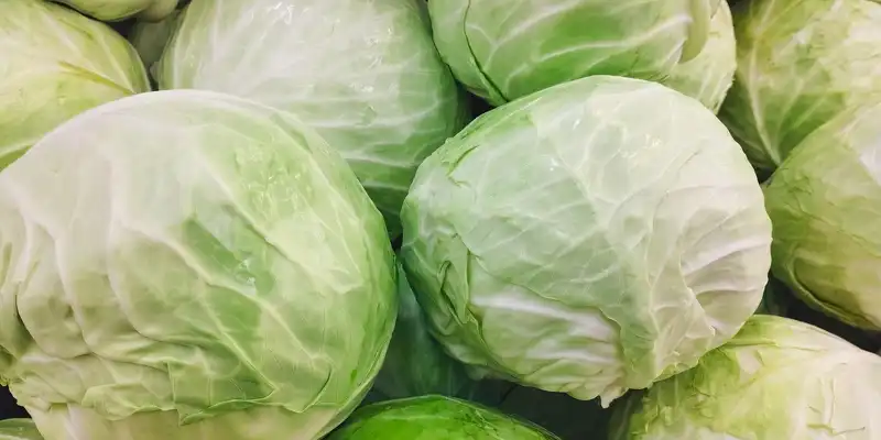 Raw cabbage (stored)