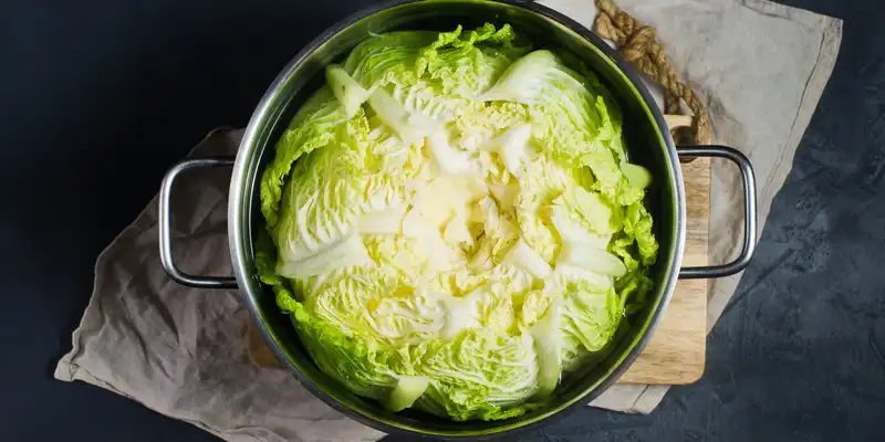 Cooked savoy cabbage