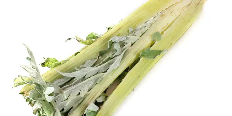 Cooked cardoon