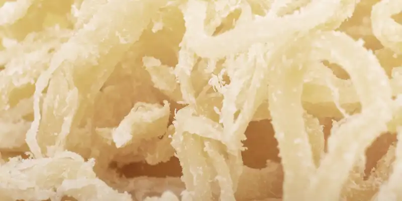 Salted jellyfish