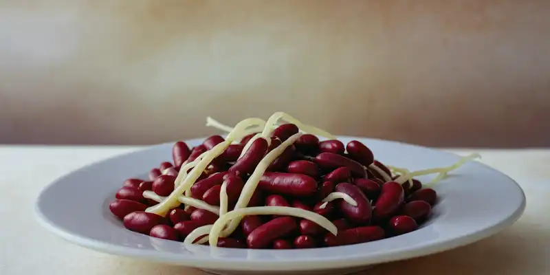 Ugotowana kiełkująca fasola kidney (bez soli)
