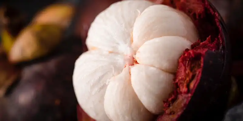 Mangostan w puszce