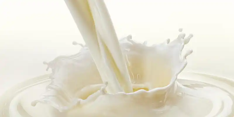 Goat milk (with added vitamin D)