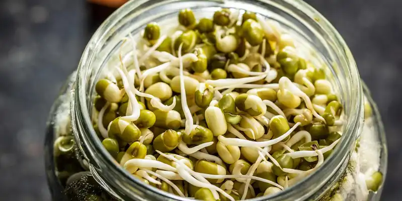 Judías mung germinadas en conserva