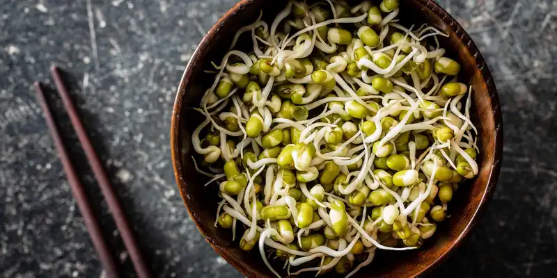 Fagioli mung germogliati bolliti (senza sale)