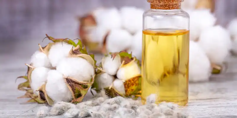 Cottonseed oil