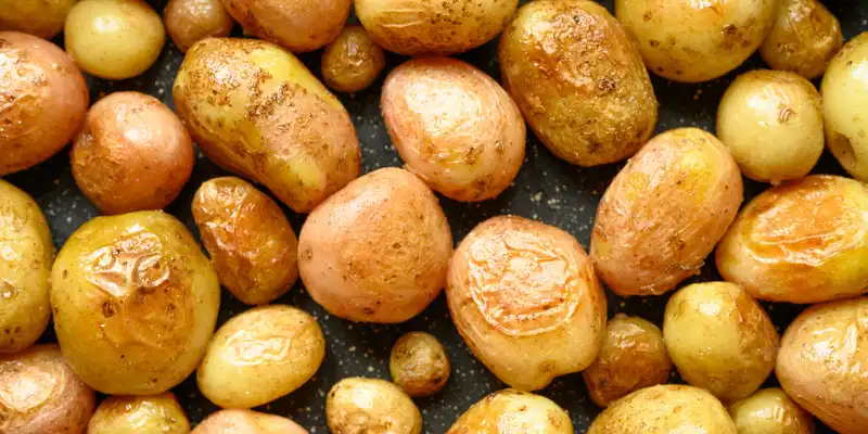 Patata (cocida con piel, sin sal)
