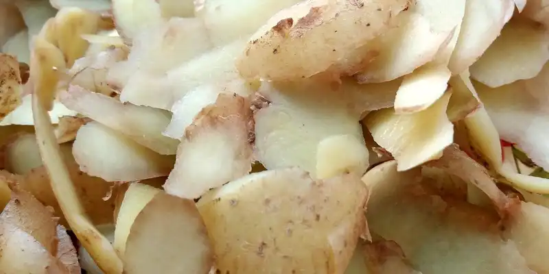 Patata cruda (piel)
