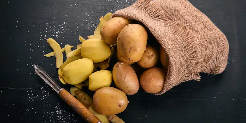 Russet potato (flesh and skin)