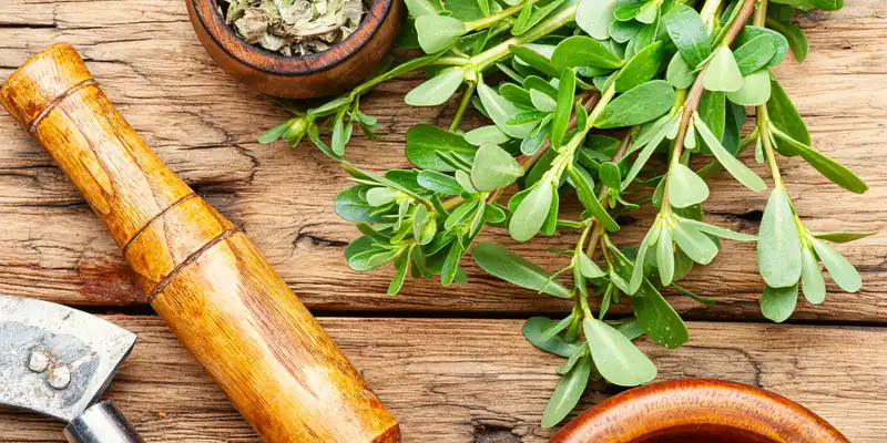 Boiled purslane