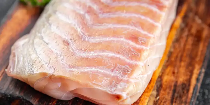Rockfish