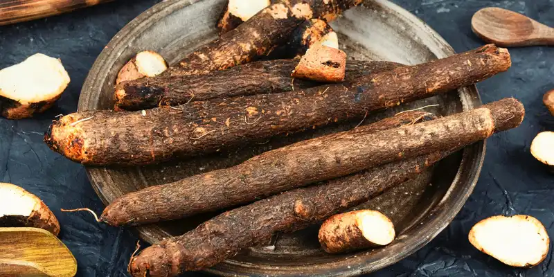 Boiled salsify (without salt)