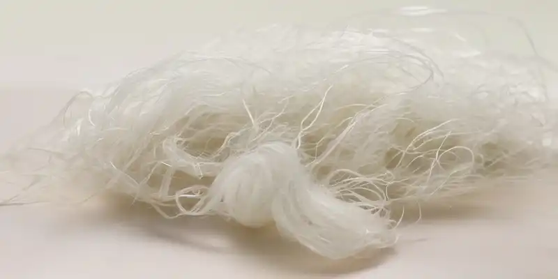 Dried agar seaweed