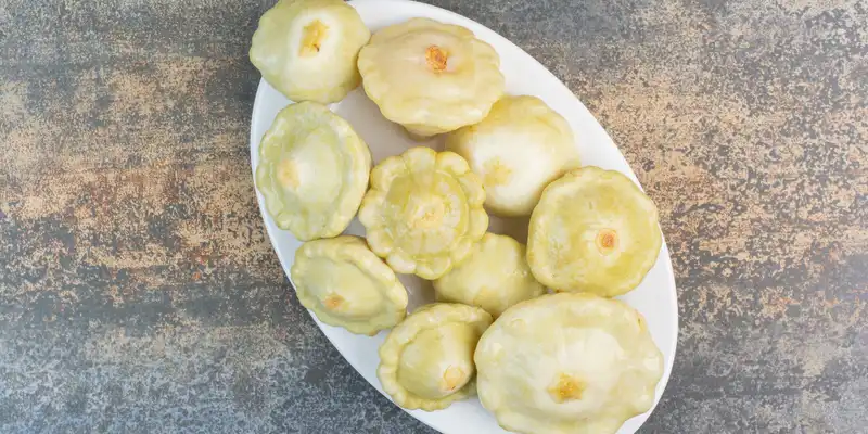 Cooked scallop squash