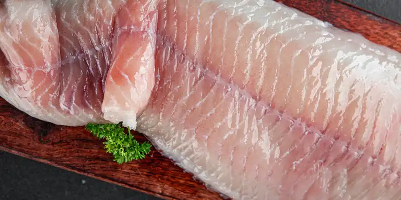 Tilefish