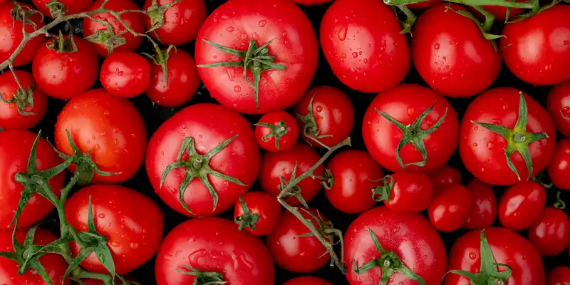 Tomatos (without salt)