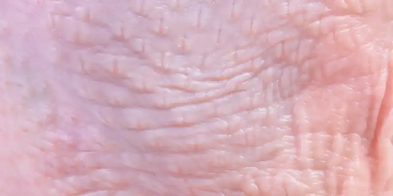 Tacchino crudo (solo pelle)
