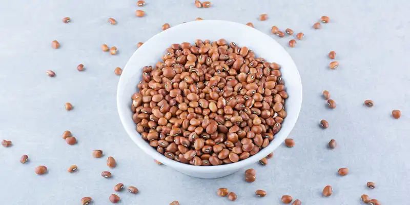 Fagioli alati (semi maturi)
