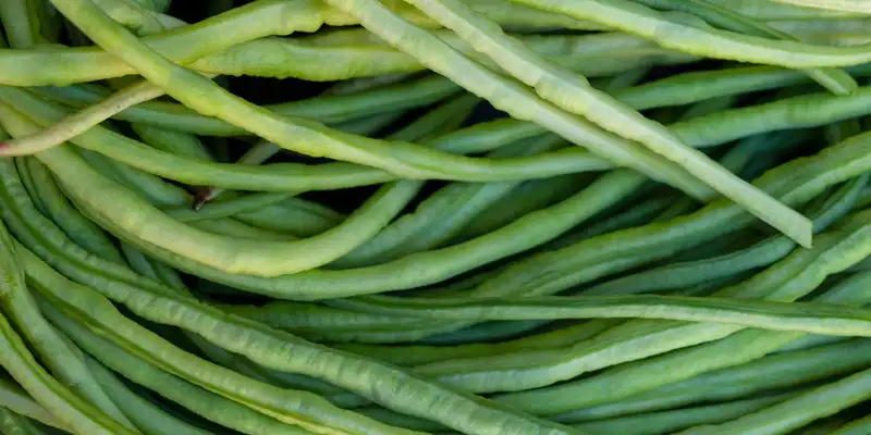 Yardlong bean (without salt)